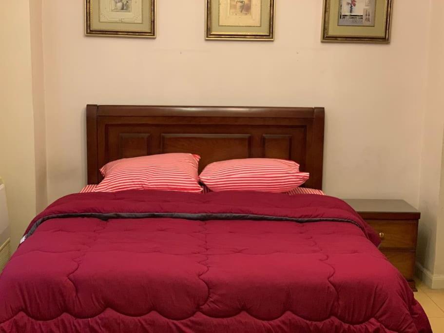 Zamalek Garden Villa-abu El Feda Cairo