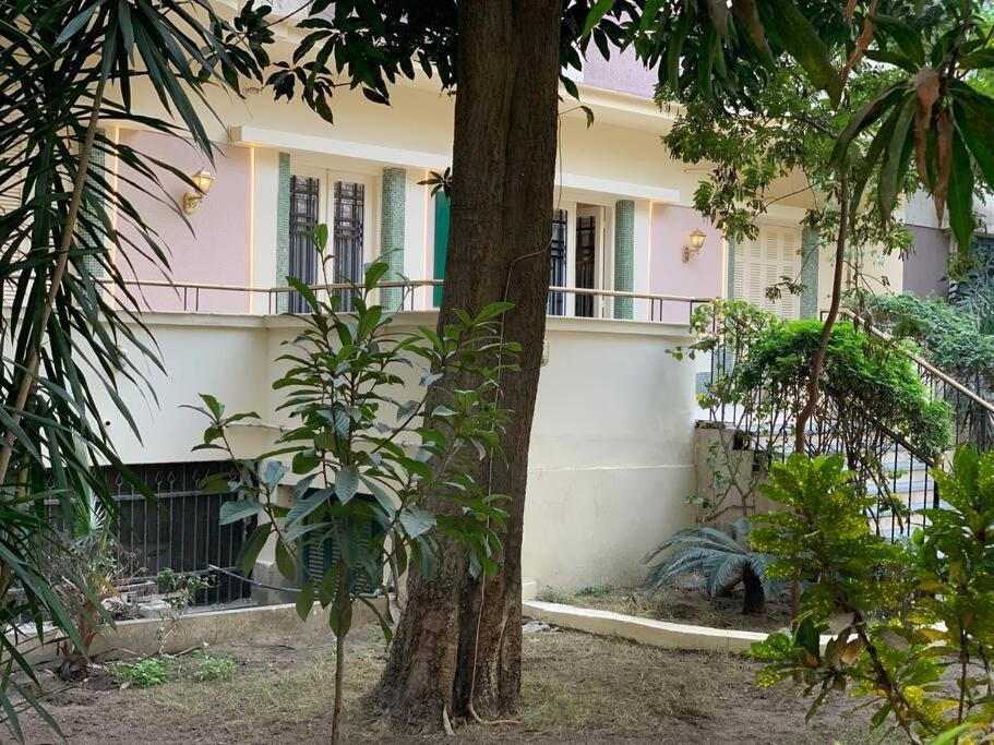 Zamalek Garden Villa-abu El Feda Villa Cairo