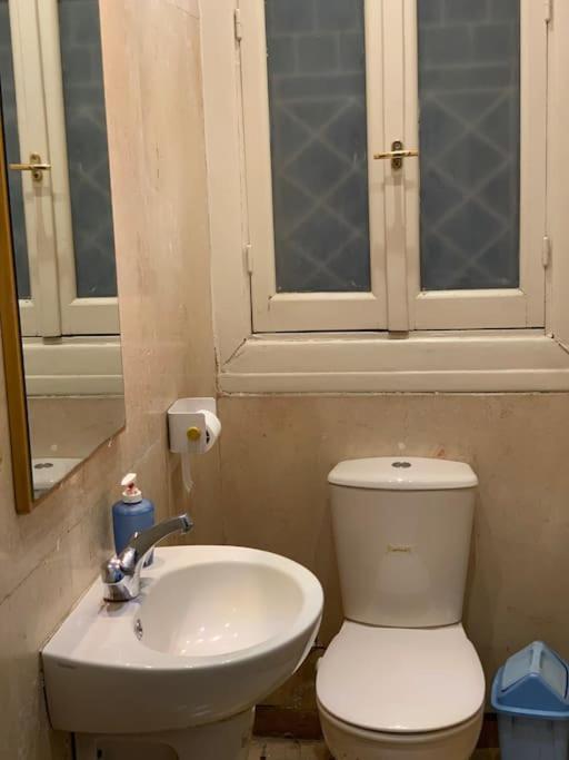 Villa Zamalek Garden Villa-abu El Feda *