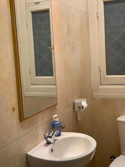 Zamalek Garden Villa-abu El Feda *